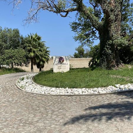 Hotel & Spa Luna Canela Boutique Atlixco Dış mekan fotoğraf